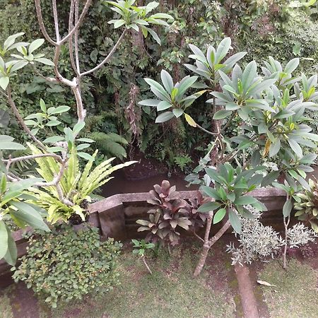 Dewi Ayu Accomodation Ubud  Luaran gambar