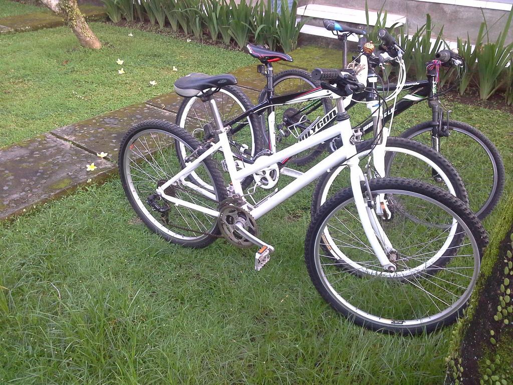 Dewi Ayu Accomodation Ubud  Luaran gambar